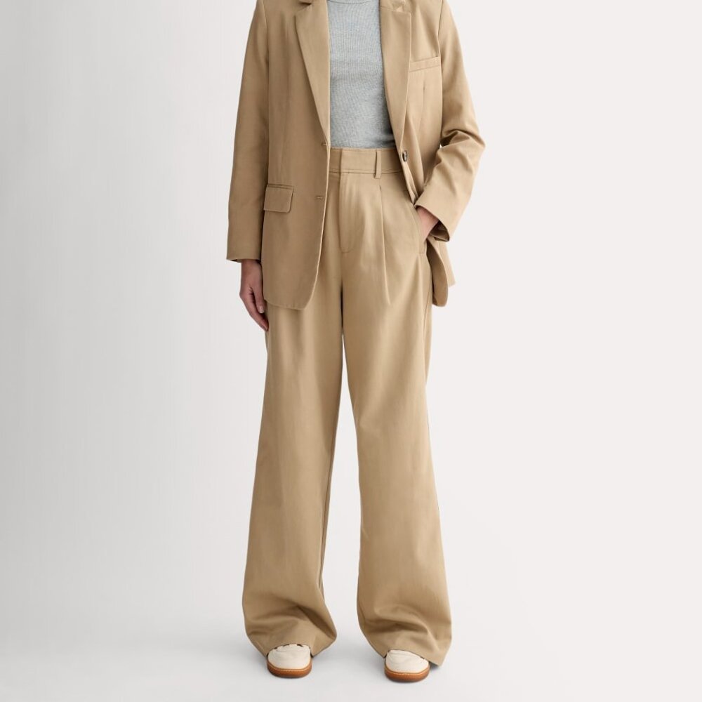 Everlane Women's Draper Pleated Pant in Buttersmooth in Ash Brown, Size 8